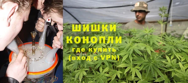 индика Валдай