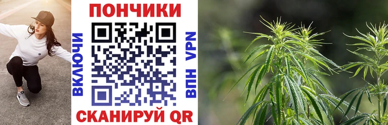 закладки  Вытегра  Марихуана гибрид 